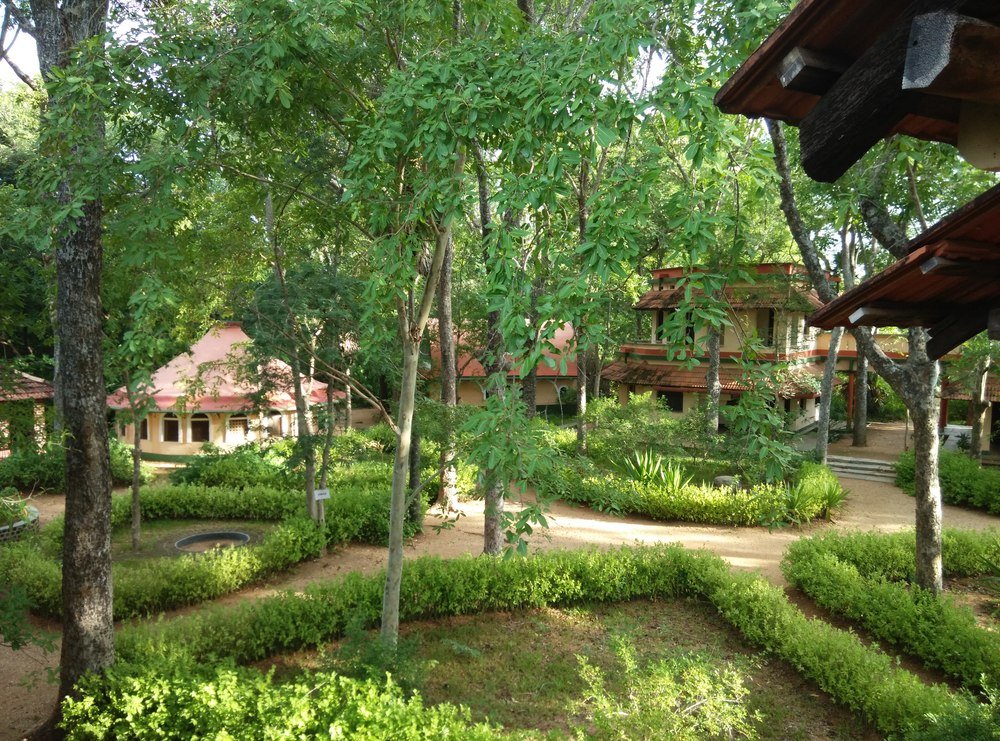 auroville-tours-botanical-garden